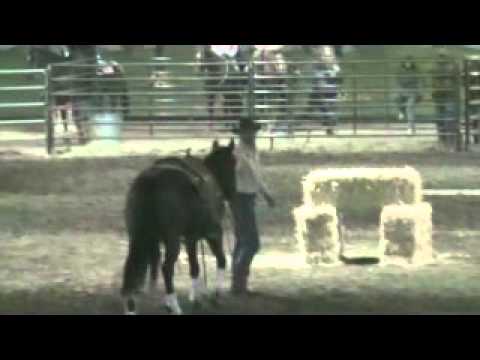 Rick Hoffman & Gypsy Chic Equine Affaire 2011