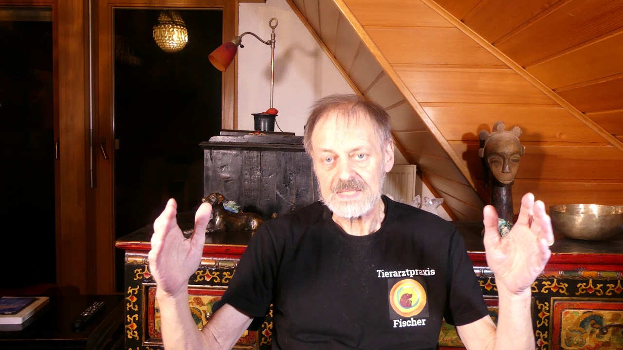 Krebs bei Hund und Katze