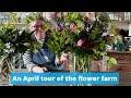 April tour of this somerset flower farm