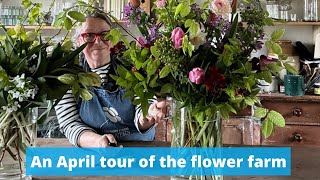 April tour of this Somerset Flower Farm