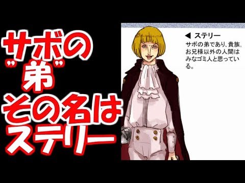 クルーズ 思慮のない 愛撫 ワンピース サボ 弟 小説 窒息させる 表面