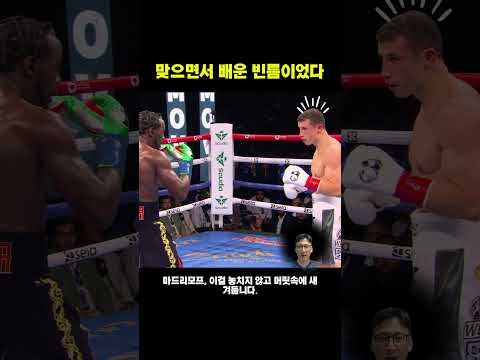 마드리모프가 준비한 의도된 한 방 #크로포드마드리모프 #복싱오버핸드레프트 #권투분석  #40대아재복서