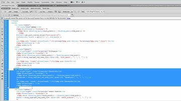 Wordpress Custom Taxonomies For Hosting Theme Tutorial