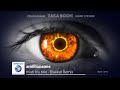 amillionsons ft.Taka Boom w Chaka Khan &amp; Mark Stevens -- misti blu two (Blakkat Remix)