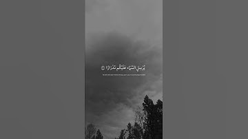 تلاوة هادئة و جديده للقارئ طارق محمد 🤍