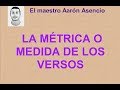 La medida/métrica de los versos