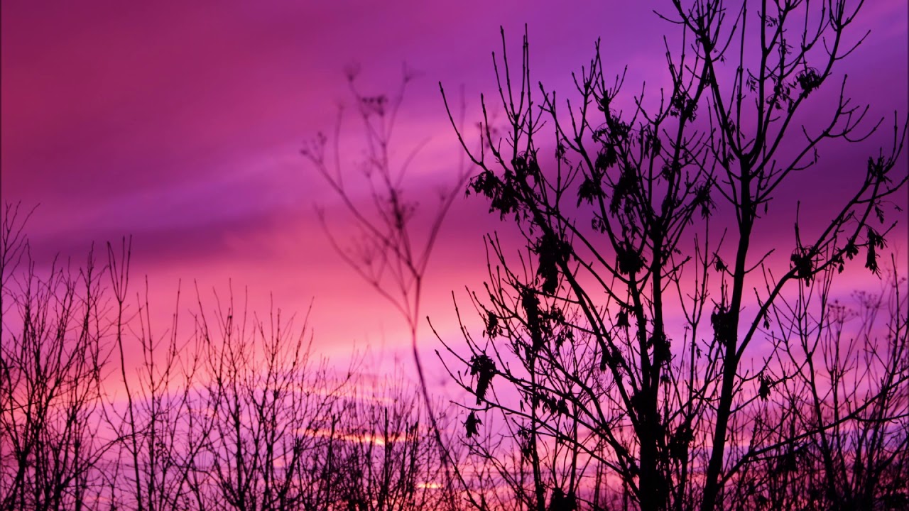 Reiki with Archangel Selaphiel | Energy Healing