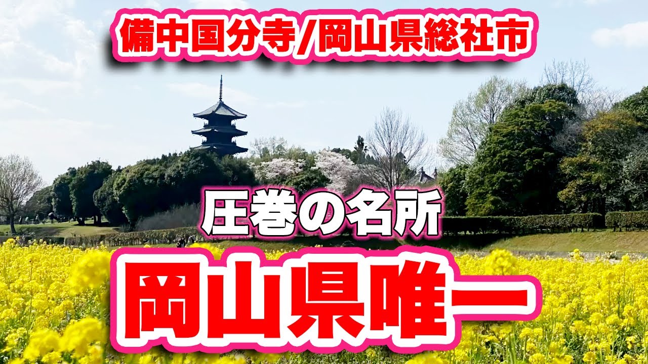岡山県観光】圧巻の桜の名所！備中国分寺に行ってみた【旅行VLOG】田園