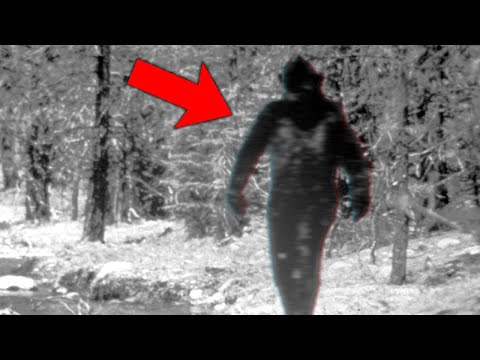 Ranger Can''t Explain What His Trail Cam Captured In The Woods