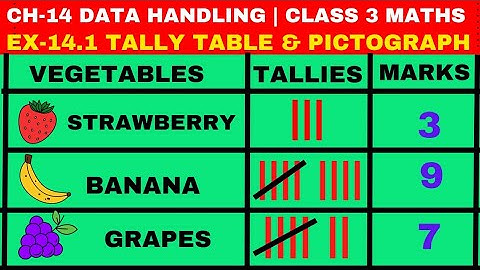 CH-14 Data Handling | Ex-14.1 Tally Table & Pictograph | Class 3 Maths | Part 1