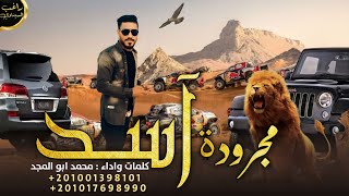 مجرودة ♪آســـــد   [ حــصـريـا  ]  اداء محمد ابو المجد 2023