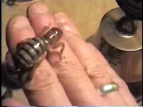 Giant Scary Bug Eats Hand Potato Bug Fun Youtube