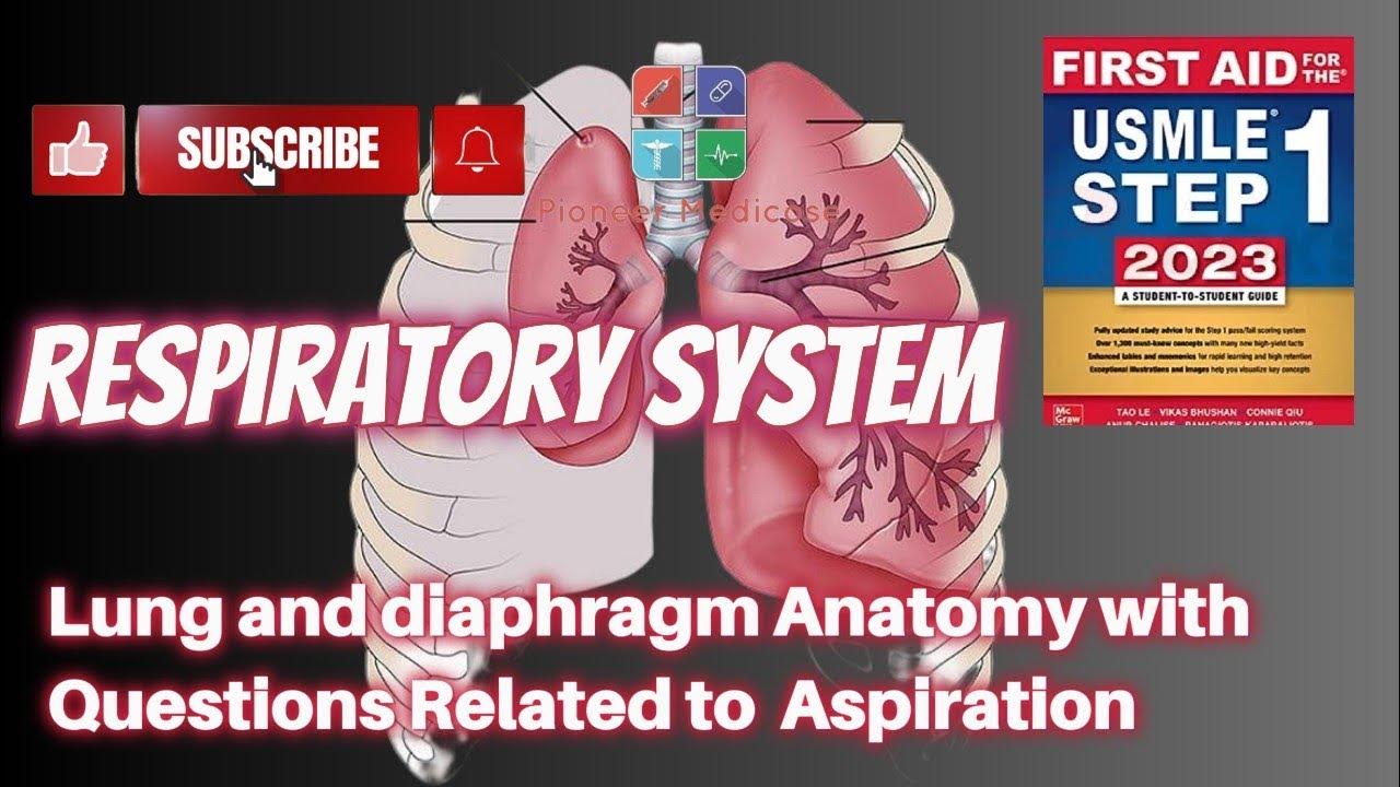 Anatomy of Lungs and Diaphragm from First aid step 1Part 2USMLEUrdu/Hindi YouTube