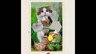 Jigsort puzzle with cat  #game #puzzle #jigsawpuzzleworld #puzzlegame screenshot 2