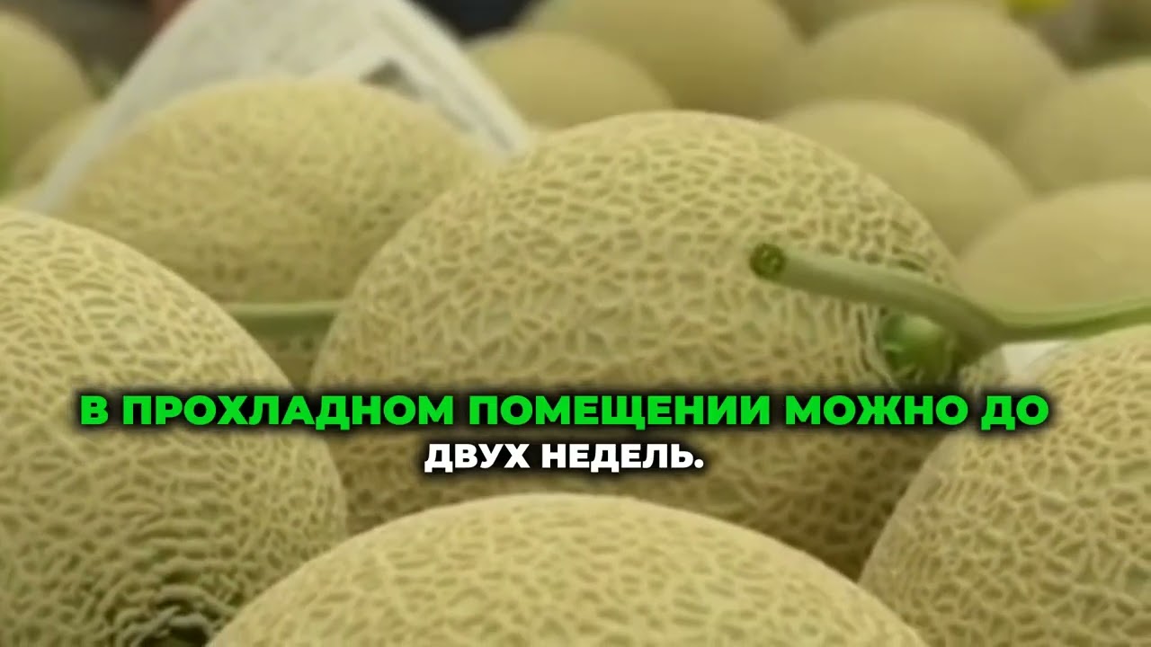 Как правильно хранить дыню ?