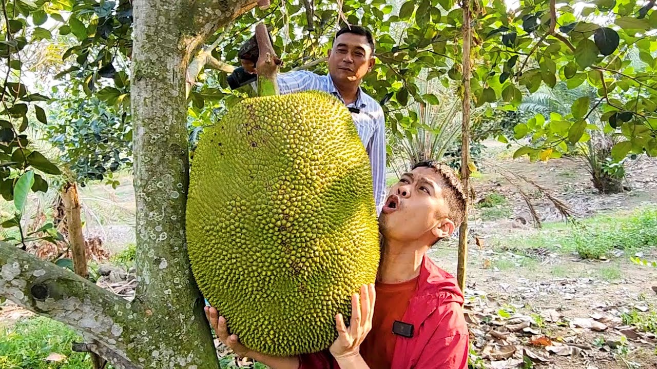 ขนุนยักษ์ ปลูกยังไงขายได้ต้นละหมื่น | เอิร์ธสดชื่น สร้างอาชีพ