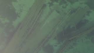 Birch Island shipwreck in calm water and fog