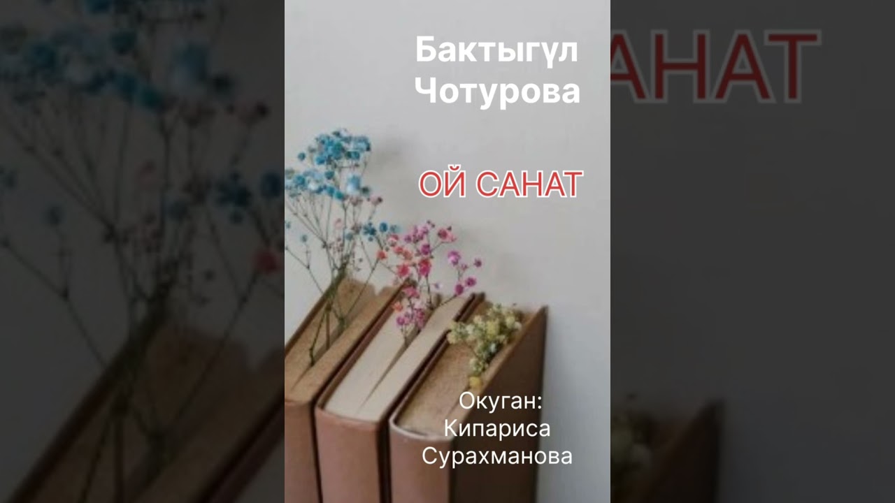 Б.ЧОТУРОВАнын 