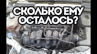 Почему стучит двигатель Форд Фокус? Почему стучит двигатель Форд Фокус?