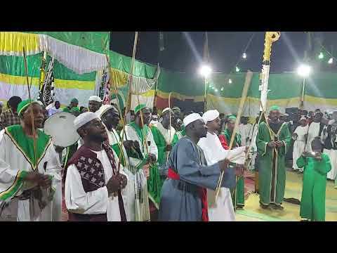 السراي ذكر الشيخ محمد نجيب البرهاني مولد المصطفى ﷺ 1443امدرمان 