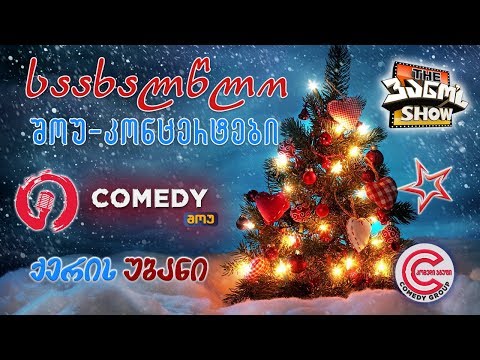 საახალწლო შოუ-კონცერტი, 2007 წელი