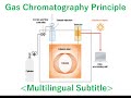 What is the Gas Chromatograph? [Multilingual Subtitle]