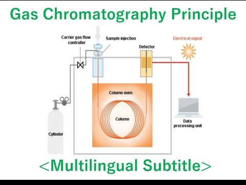 What is the Gas Chromatograph? [Multilingual Subtitle]