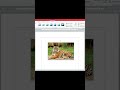 Microsoft Word Image Border #shorts