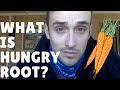 What is Hungry Root?