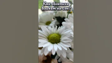 Как облепиха влияет на сон?