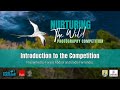 Webinar: Introduction to the Competition