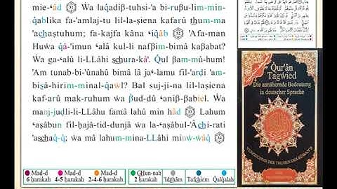 ختمة من مصحف التجويد باللغة الألمانية الصفحة رقم 253