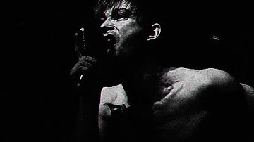 Garbage Bags  - Hunting for the Wild