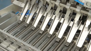 multi-lane stick nutrition powder packing machine with cartoning system