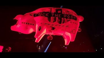 In the Flesh / Run Like Hell