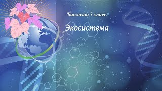 Биология 7 кл Пасечник §61 Экосистема