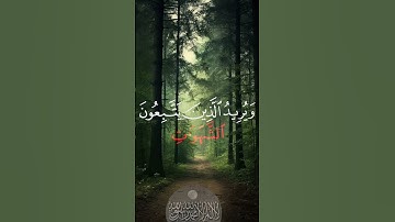 (والله يريد ان يتوب عليكم) القارئ: الشيخ محمد اللحيدان #اكسبلور #قرآن #القرآن_الكريم #محمد_اللحيدان