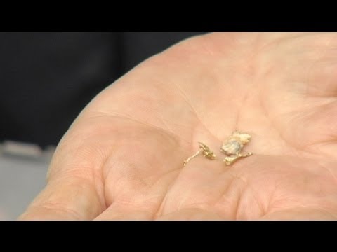 Vidéo: Comment un monument aux soldats de l'Armée rouge a été inauguré à Berlin