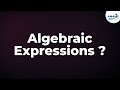 Basics of Algebraic Expressions (GMAT/GRE/CAT/Bank PO/SSC CGL) | Don't Memorise