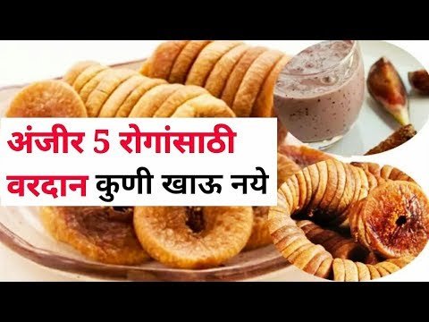 अंजीर 5 रोगांसाठी वरदान कुणी खाऊ नये Anjeer benefits and side effects