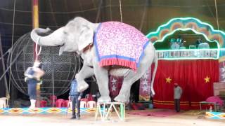 Apollo Circus Elephant with Girl Romance Dance of India