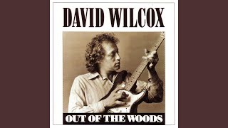 Video thumbnail of "David Wilcox - Cheap Beer Joint"