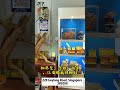 ✨ 探店:新加坡 沉香静舍文化馆 🍂
