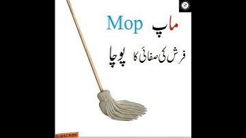 shorts 👈 #shorts #youtubeshorts #english