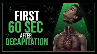 What Happens To Your Body In The First 60 Seconds After Decapitation (According To Science)