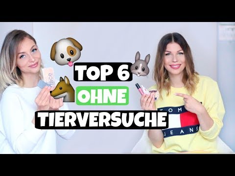 TOP 6 Produkte