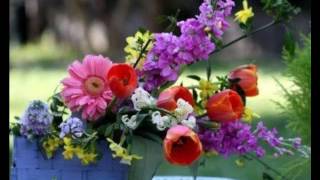 metin aşam  ben bilirim  şiir