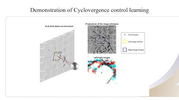 Development of cyclovergence control policies