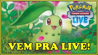 AO VIVO! Ranked dos crias do Pokémon TCG