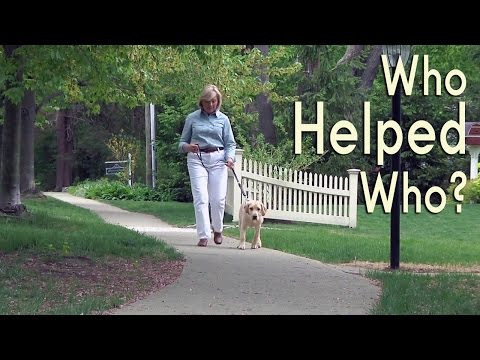 Video: Tình nguyện viên Puppy Raisers: Bí quyết thành công cho chó dẫn đường